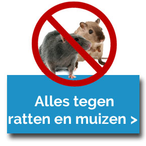 Alles tegen ratten en muizen